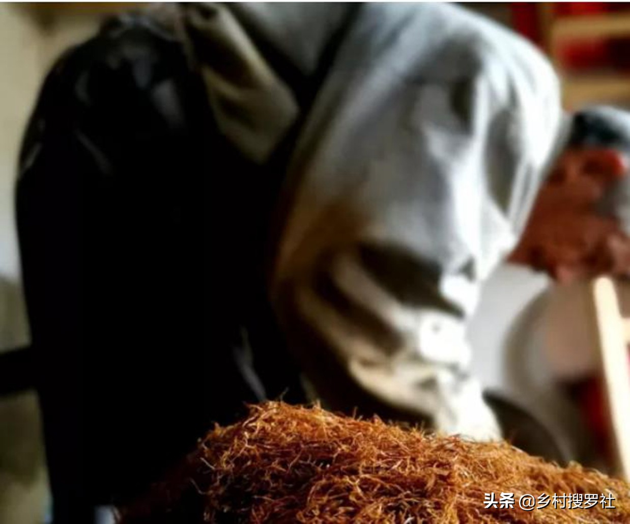 春季室外兰花如何杀虫和防虫,兰花杀虫最好的方法