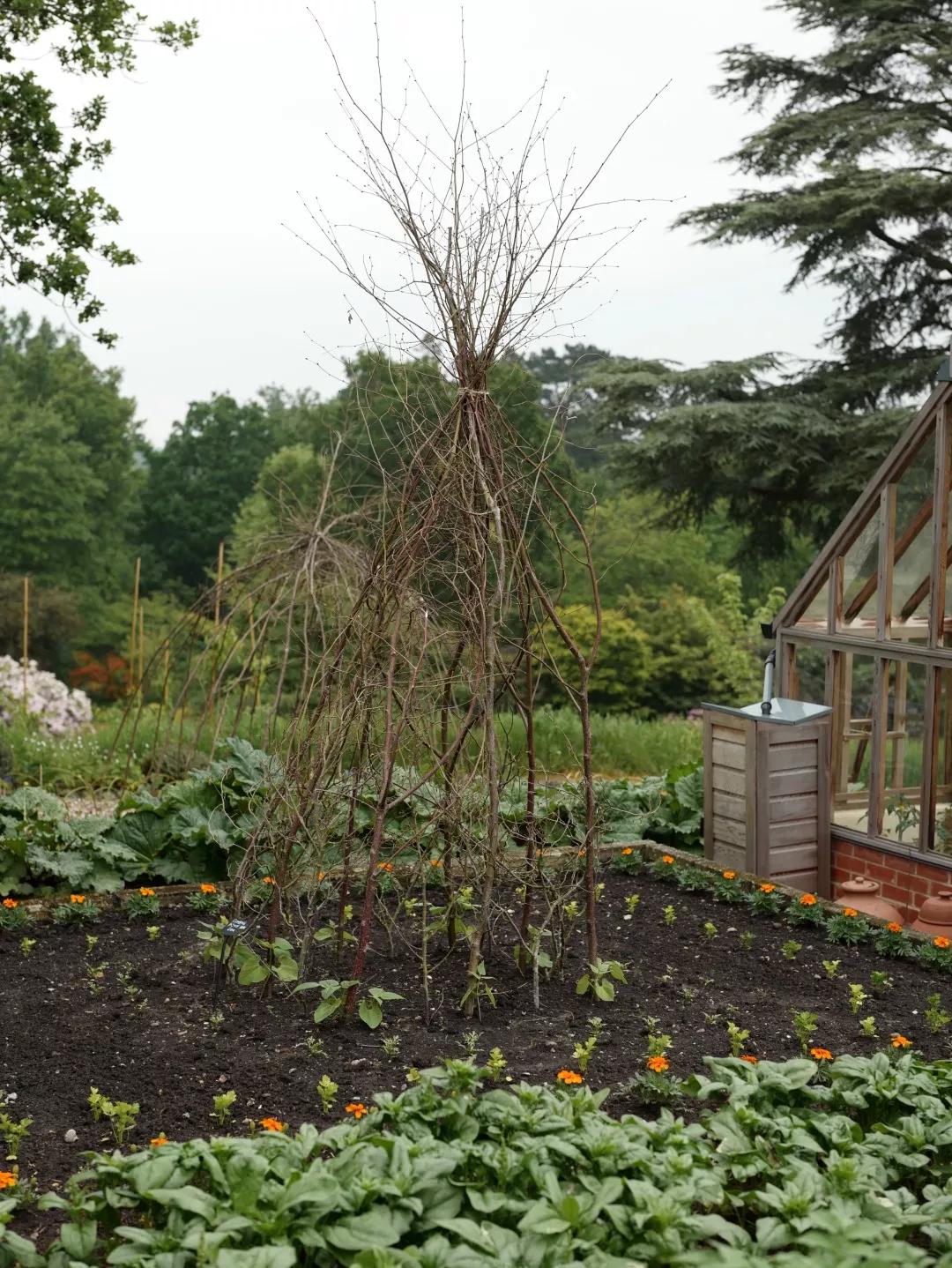 建一座完全不打药的生态花园，所有生命在这里和谐共处，值得收藏