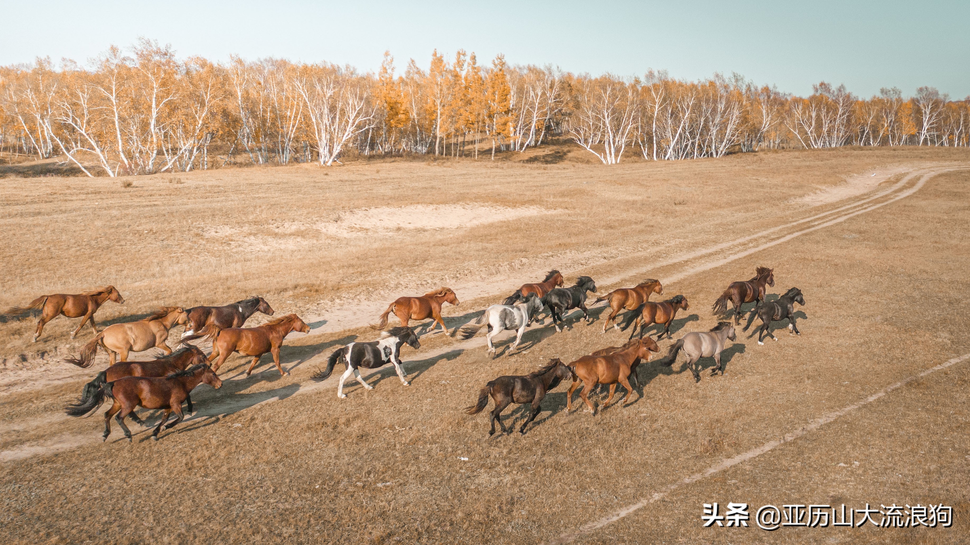 你那秋天来了吗？我这反正颜料泼了一地——内蒙古黄岗梁穿越之旅