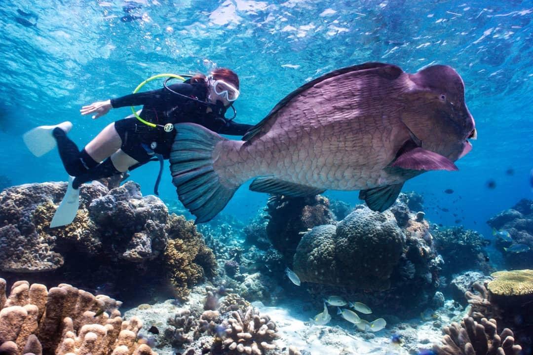 十个最适合冬天度假的绝美海岛,10个好玩又便宜的海岛