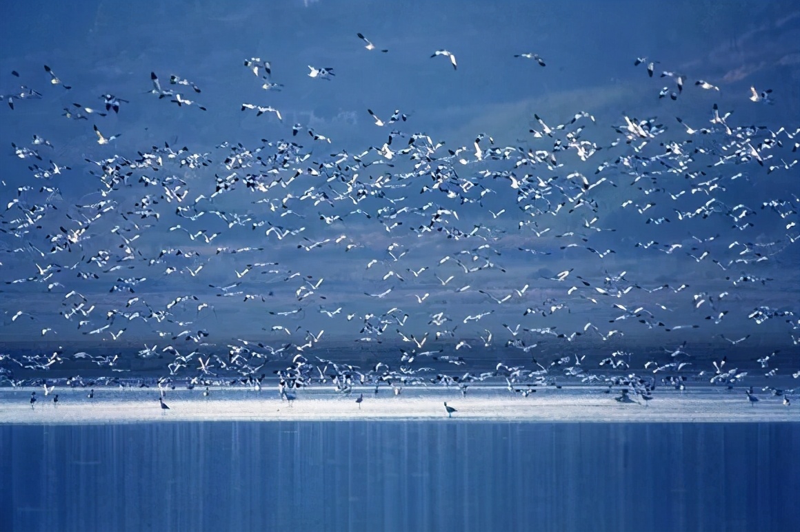 鄱湖之滨鱼米之乡,江西鄱阳湖