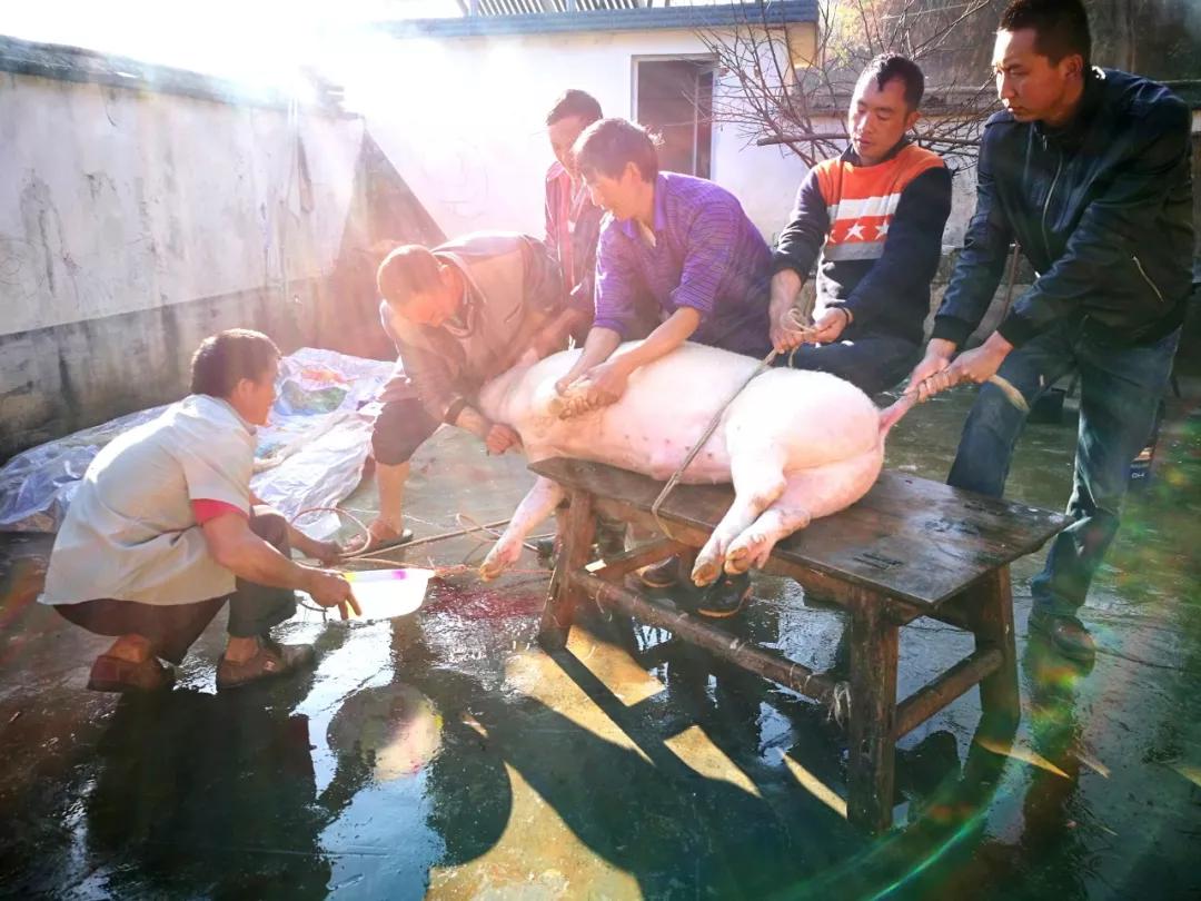 这是一个生机勃勃的地方关于它的故事才刚刚开始