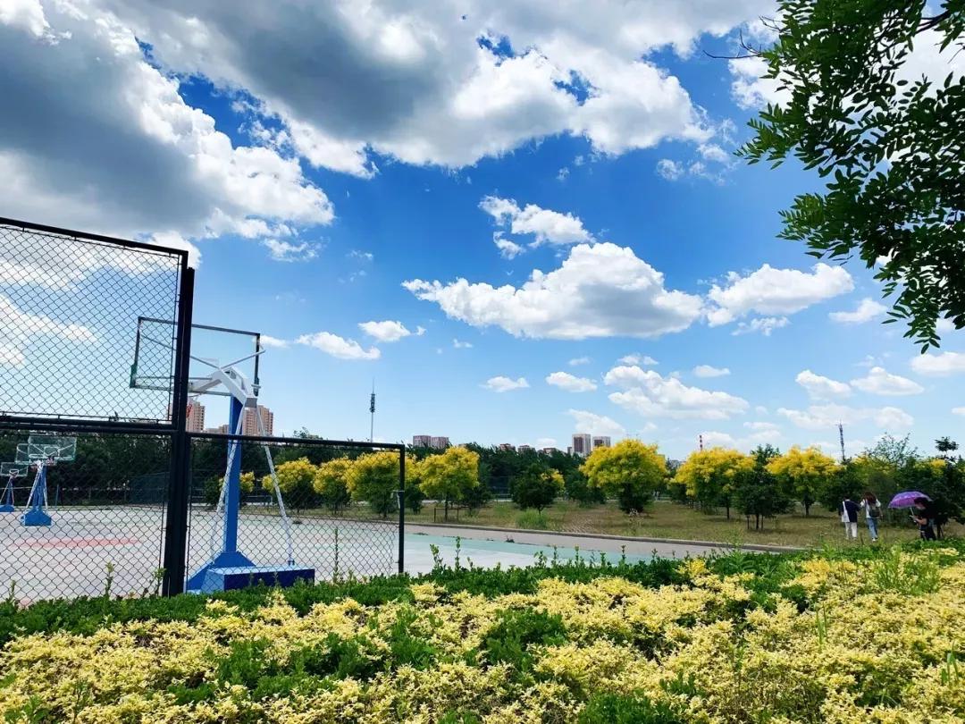 天津普通本科的大学,天津普通高校多少所大学
