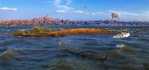 低调的实力派歌手,低调的实力派艺人