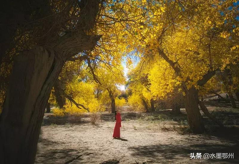 妻子的五十种叫法,全国各地对妻子的叫法99种