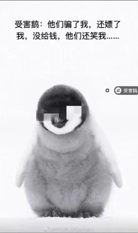 老干妈与腾讯怎么回事,腾讯与老干妈关系