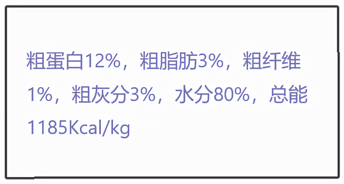 养肥猫的技术视频教程,新手养猫如何挑选主食罐