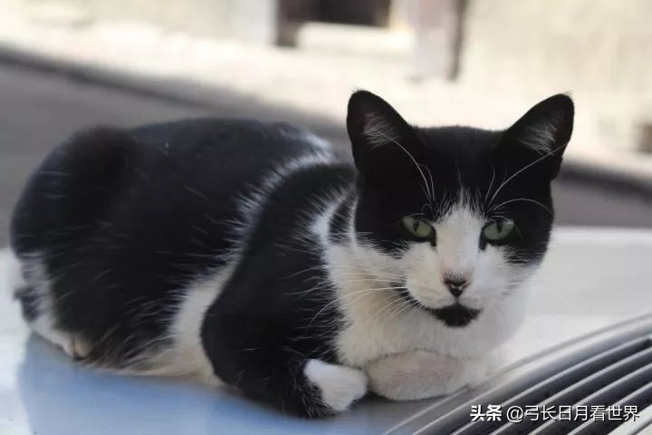 那又怎样,先干了这杯酒