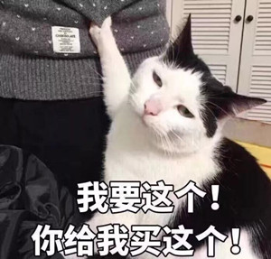 混留学圈？代购狗？颓废二代？在澳留学生你是哪一类？