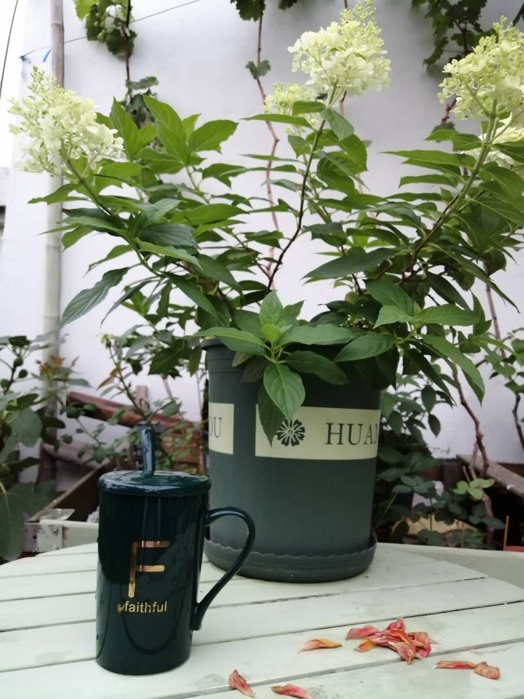 一楼带花园顶楼送阁楼,顶楼送阁楼和一楼送小院哪个合适