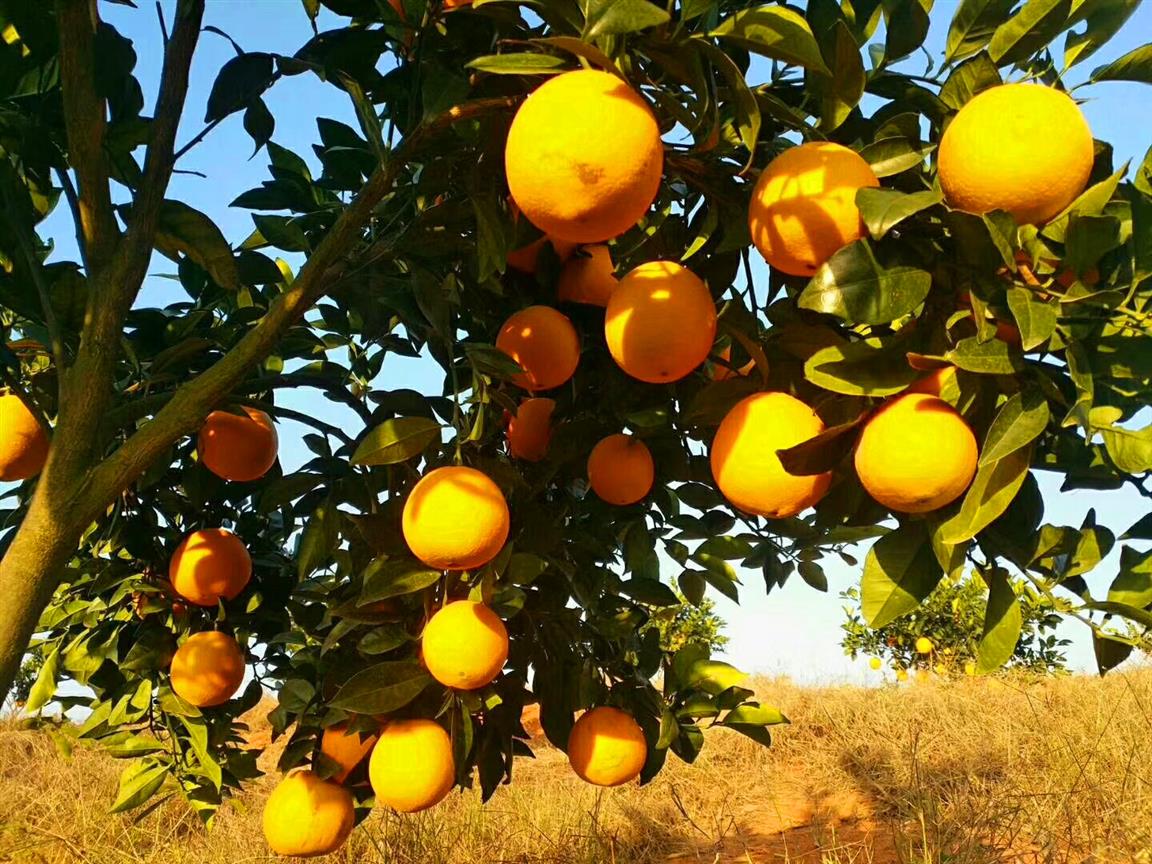 永州提升脱贫质量,江华精准扶贫