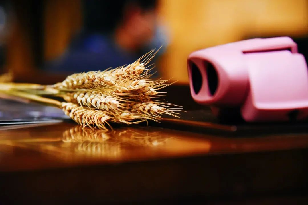 掌灯演出,白鹿原高光时刻