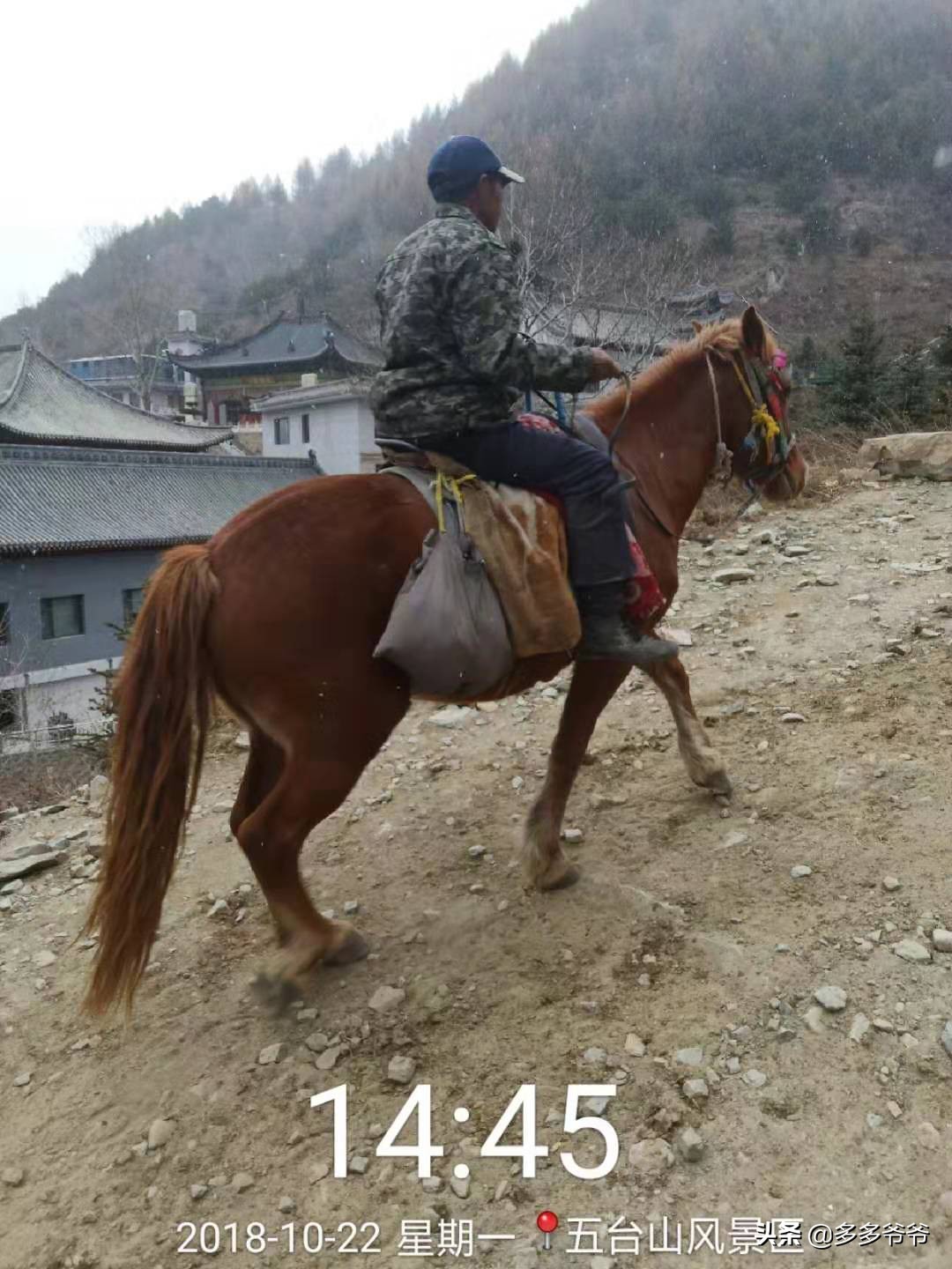 山西五台山旅游景点免门票,山西五台山景区旅游攻略一日游