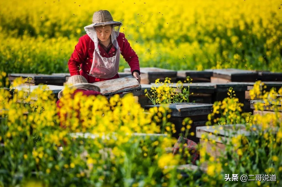 二月份值得去的12个地方，要出门的朋友别错过！