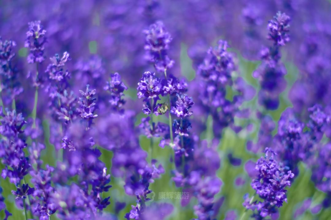 旅行中的故事讲述,旅行过程中的故事