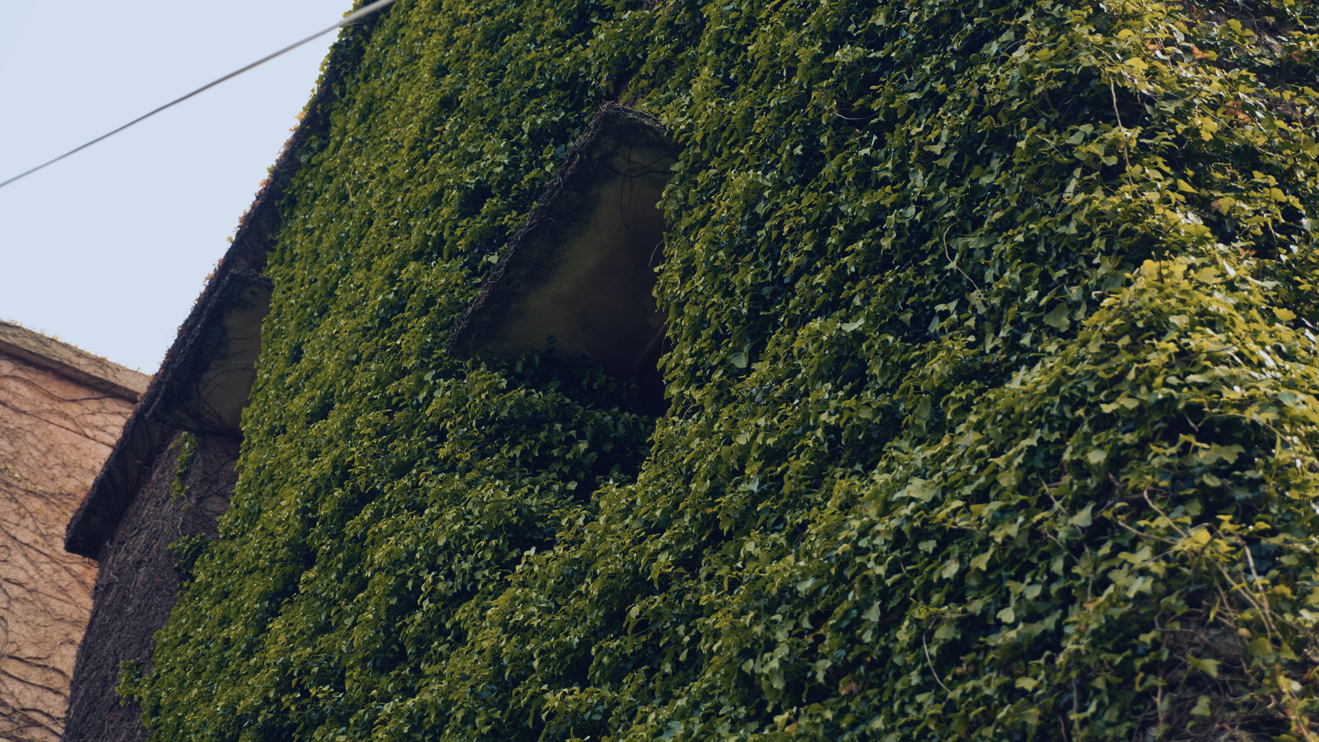 浙江嵊泗列岛三日游,嵊泗四日游旅游攻略