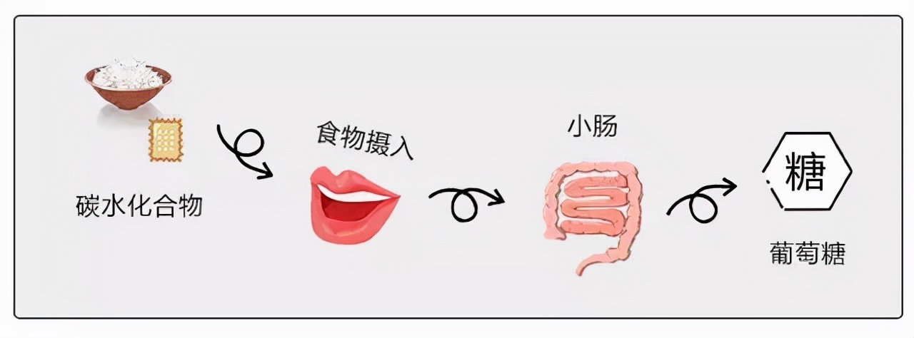 盘点热门减肥方法,盘点真实有效的减肥方法