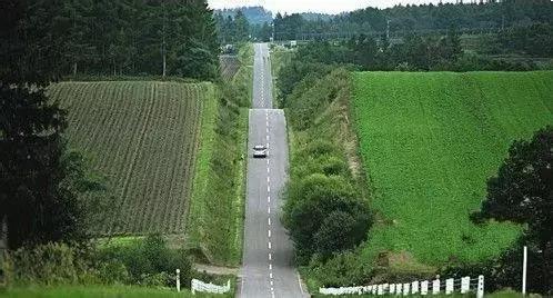合肥春节免费门票景点,合肥哪些景点过年不要门票