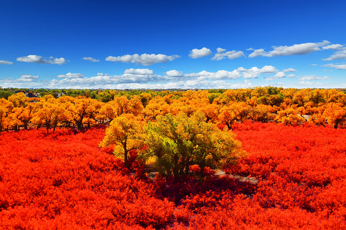 红柳滩,哭泣的红柳滩下