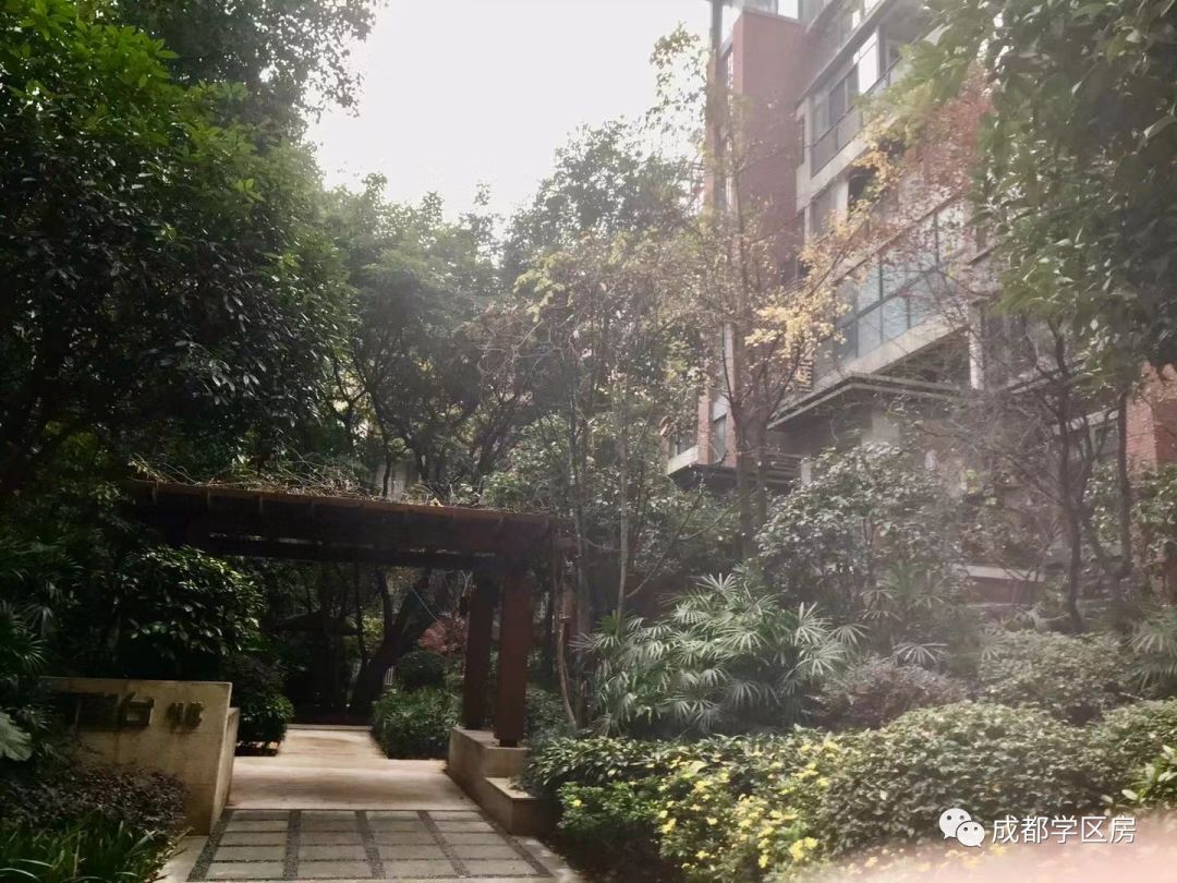 建设路附近学区房,热门双半径学区房