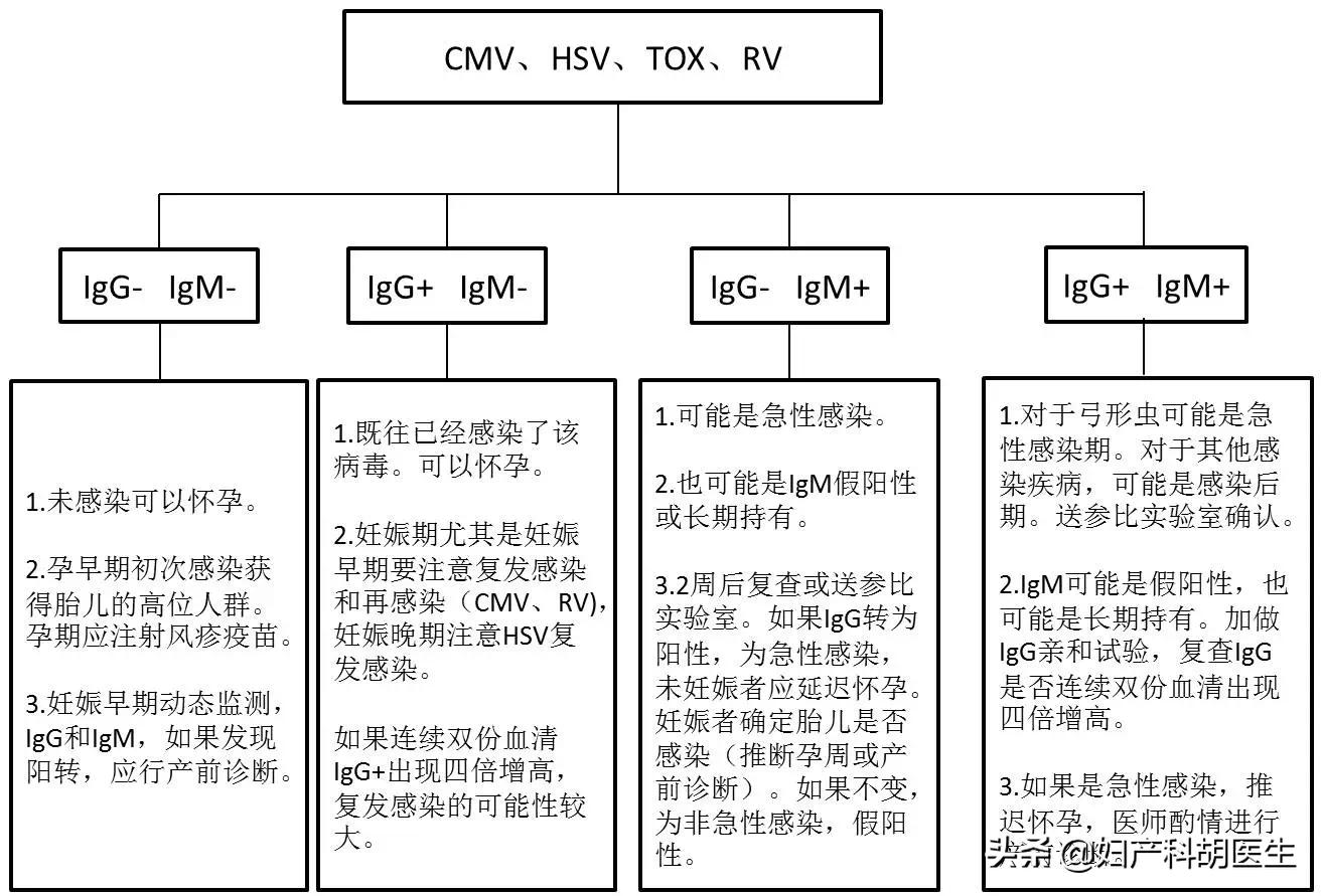 怀孕多久做nt这项检查什么意思,怀孕期间有哪些检查必须要做的