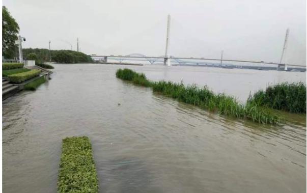 洪水过后为什么要消毒,水灾后消毒的正确方法