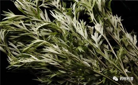 哪些人群不适合吃艾叶粑,生姜花椒艾叶泡脚不适合哪些人群