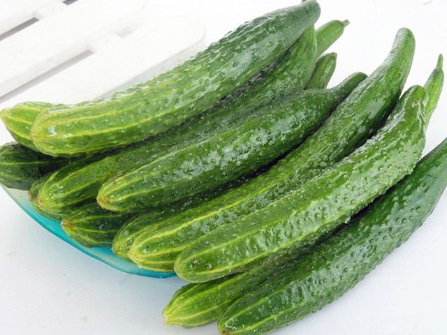 旱黄瓜和水黄瓜有什么区别,水黄瓜和旱黄瓜叶子区别