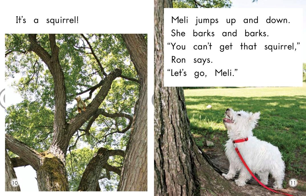 英语有声绘本一只小兔,英文有声绘本bigcatlittlecat