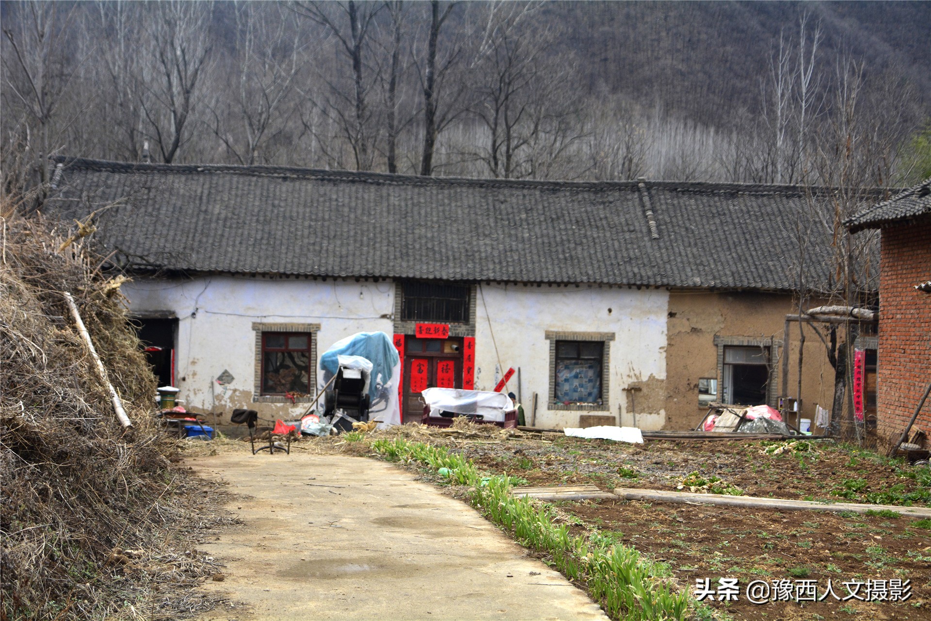 根雕老房子作品,倔强老头完整版