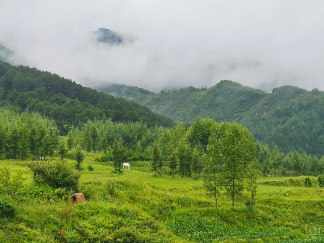 徒步穿越北驼梁完整版,穿越花海古道游记