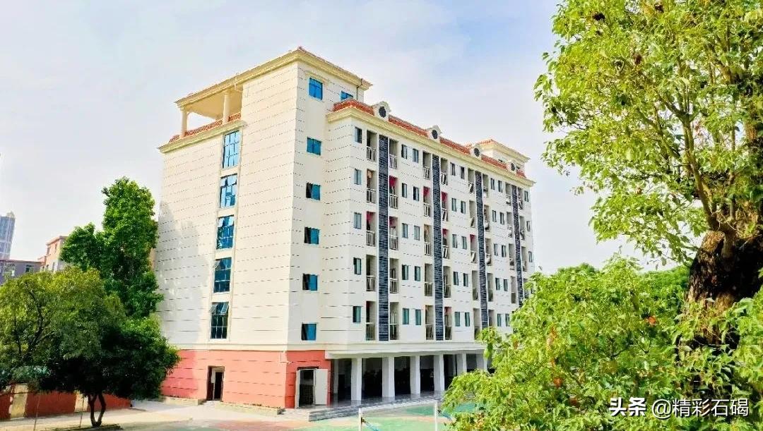 石碣四海学校排名,石碣四海小学招生简章