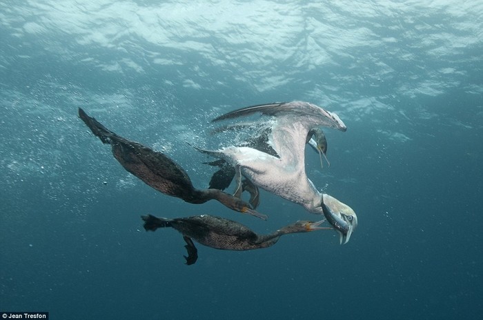 十分钟教你玩转高级感的摄影,都是干货