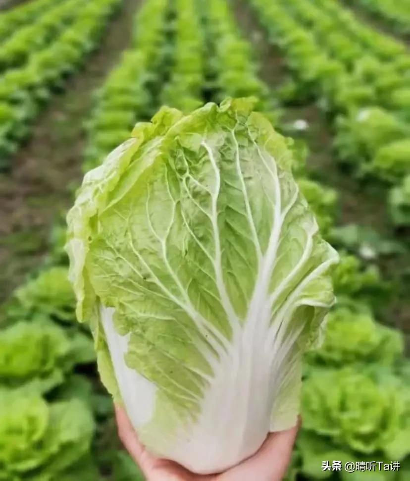 疫情不严重了口罩还能卖吗,疫情发生后我应该怎么办