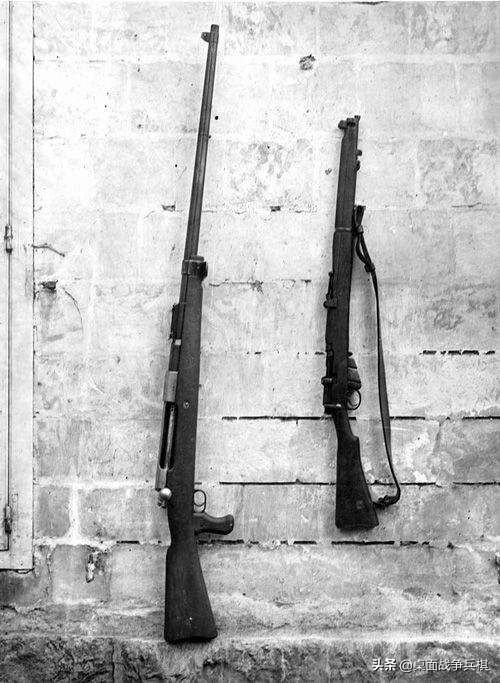 毛瑟步枪弹威力实测,毛瑟步枪弹口径