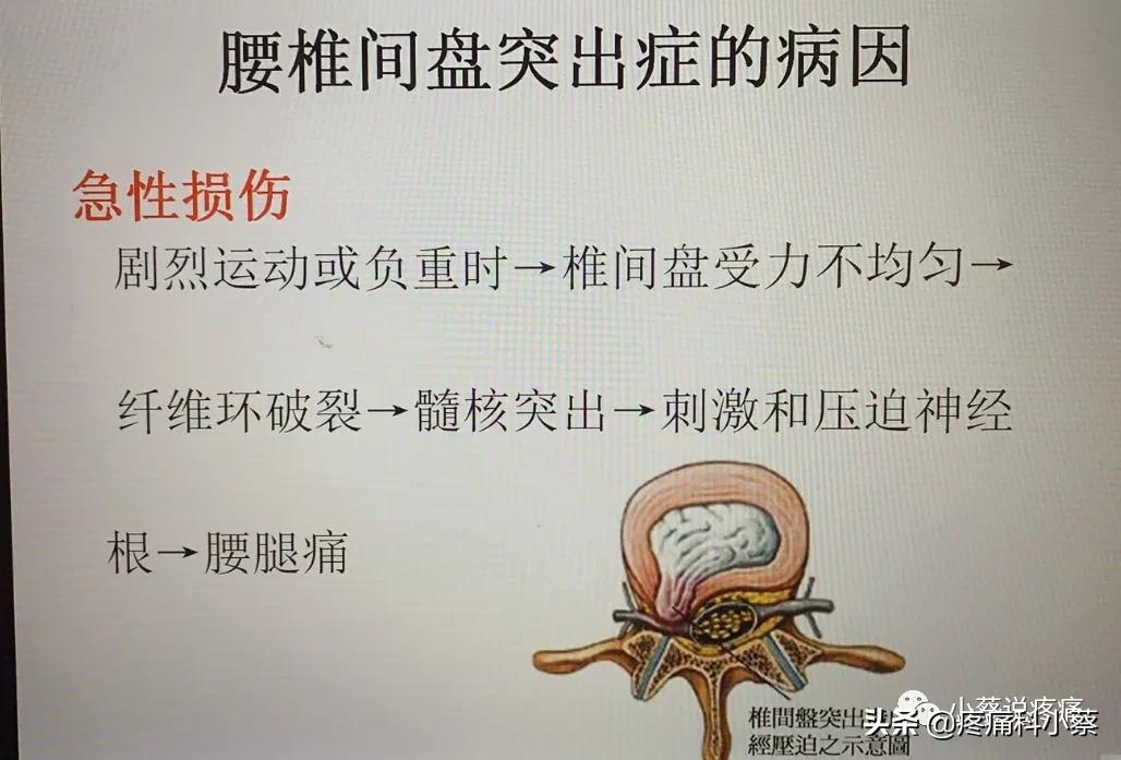 蔡主任讲座视频,蔡主任团队