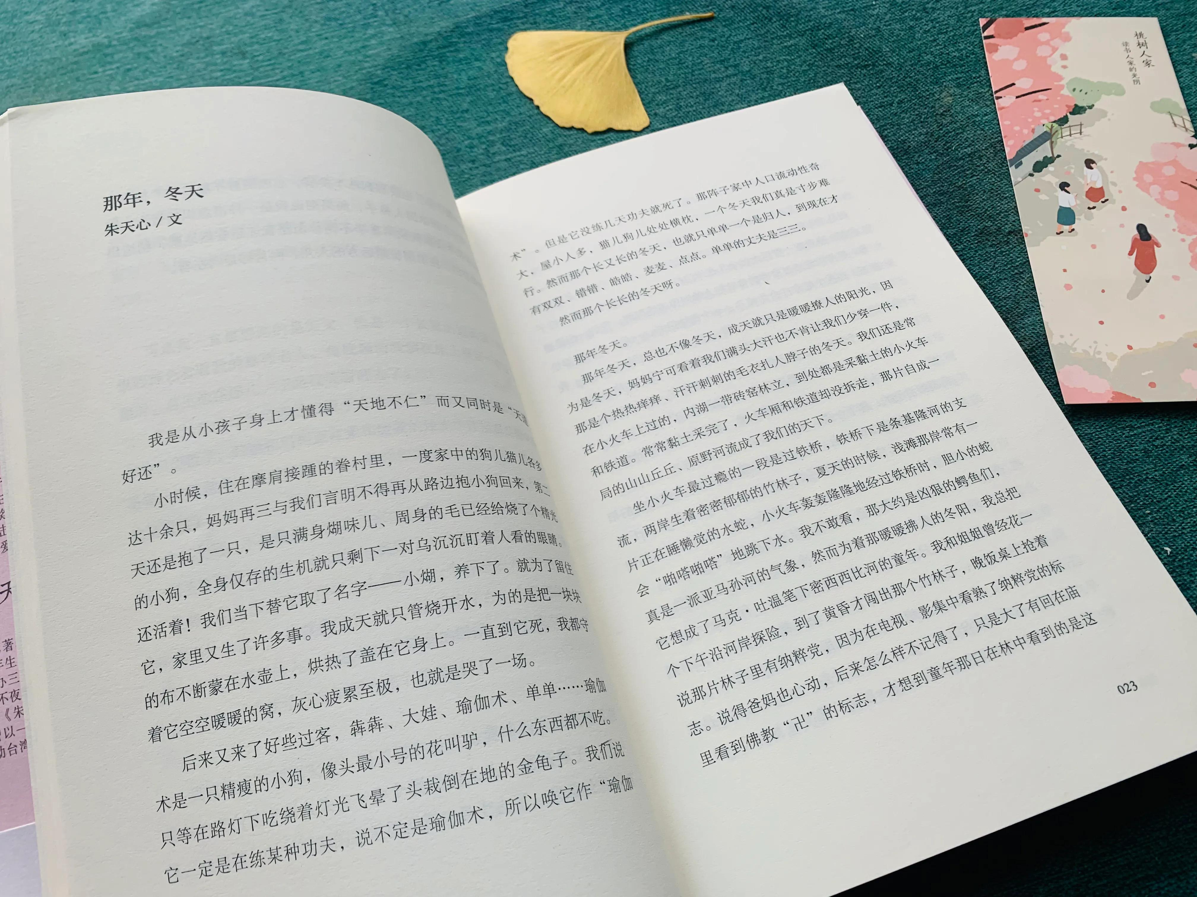 温暖的冬日美文,温暖的冬日散文