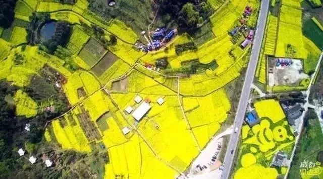 半个月后成都即将美翻全国，17处美景玩转整个春天！