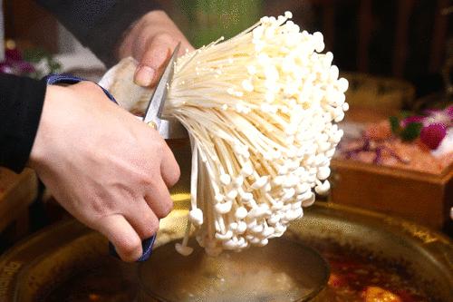 把菜园搬到餐厅,把菜园搬到家门口