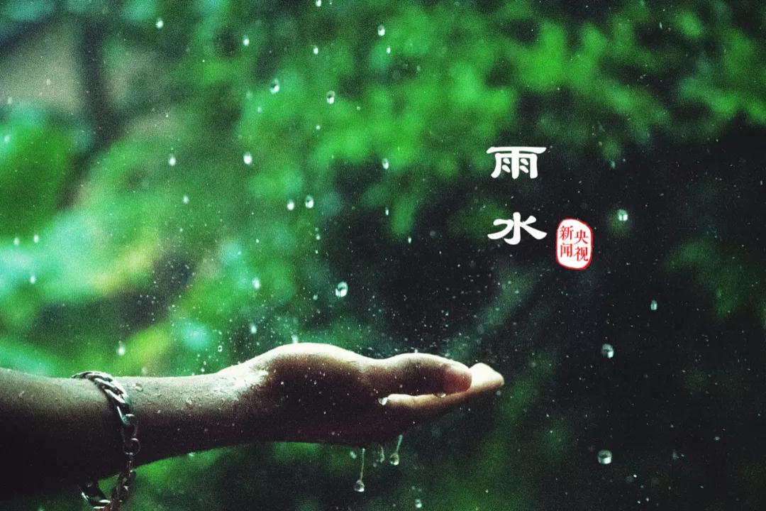 雨水丨如雨如水，温柔坚定