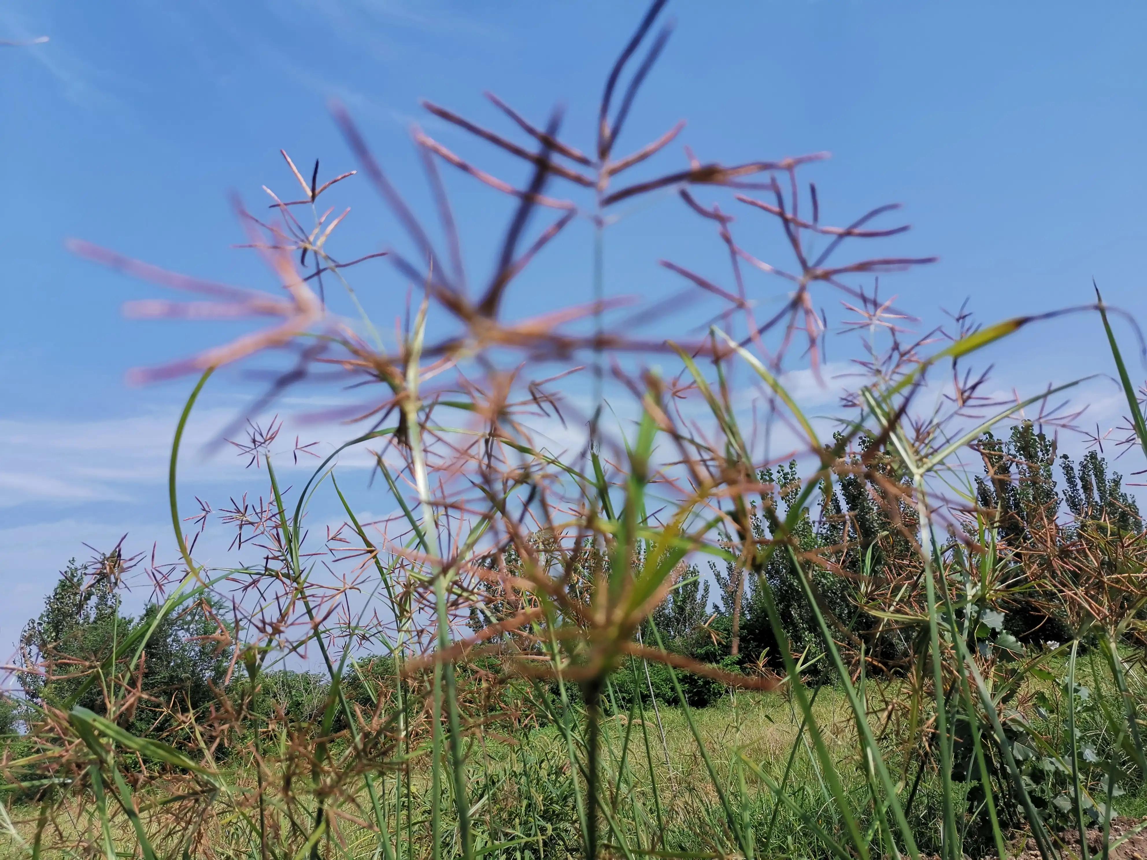 腿受伤躺久了腰疼如何缓解,腿伤卧床