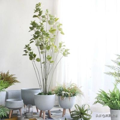 空调房皮肤干燥脸颊泛红,空调房干燥流鼻血怎么办