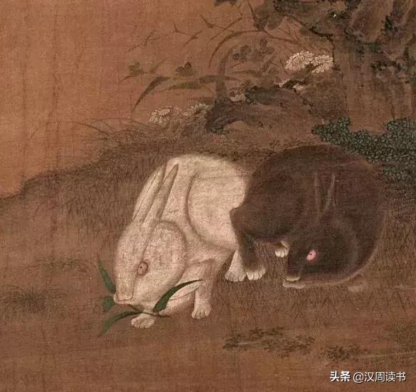 为什么中国人自古喜欢兔子,为什么中国古时喜欢兔子
