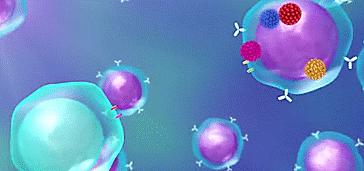 宫颈癌筛查tct和hpv哪个比较重要,宫颈癌筛查tct和hpv哪个更靠谱