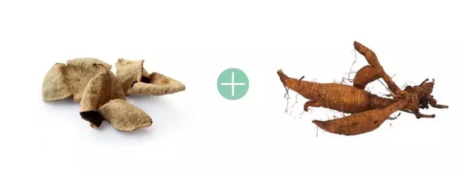 气血两亏痰湿较盛用什么中药调理,女性肾气虚脾胃湿热是什么原因