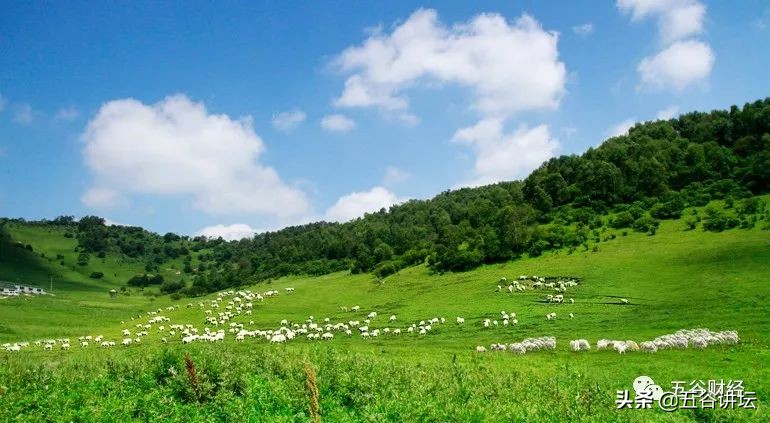 和氏品牌羊奶粉,陕西和氏乳业有机羊奶粉