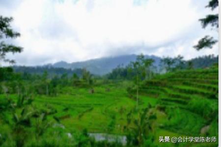 委托代销商品账务处理与税务处理,委托代销财税处理方法