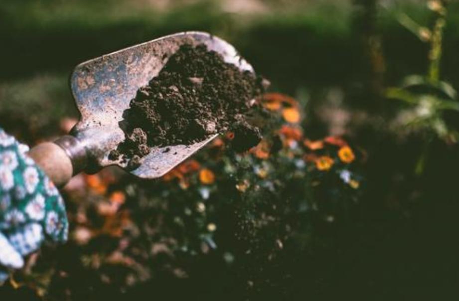 分解土壤固化物质,酸性土壤如何解磷解钾