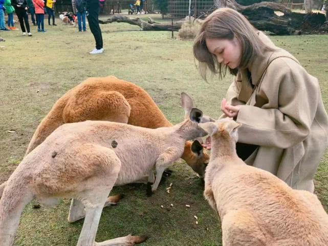 疫情期间韩国留学怎么申请,疫情韩国留学值得吗