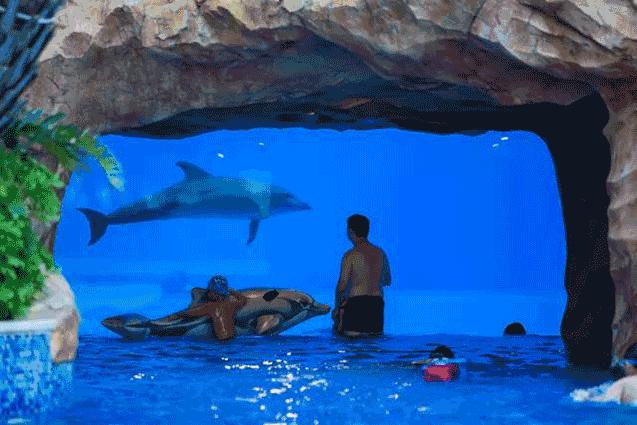 珠海长隆水上乐园刺激儿童也能玩,珠海长隆水上乐园空中旋转